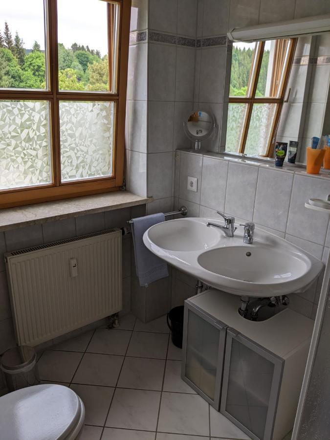 Ferienwohnung Grenzenblick بايريش أيزنشتاين المظهر الخارجي الصورة